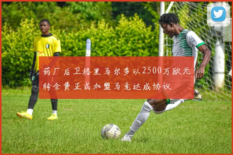 药厂后卫格里马尔多以2500万欧元转会费正式加盟马竞达成协议