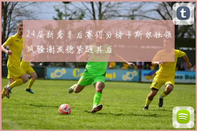 24届新秀季后赛得分榜卡斯尔独领风骚谢泼德紧随其后