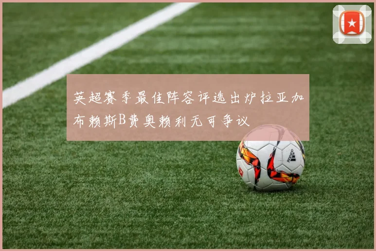 英超赛季最佳阵容评选出炉拉亚加布赖斯B费奥赖利无可争议