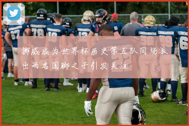挪威成为世界杯历史第五队同场派出两名国脚之子引发关注